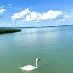 Panoráma Zamárdi, Kilátás A Tóra, Terasz