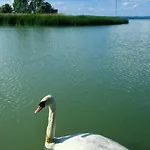 Panoráma Zamárdi, Kilátás A Tóra, Terasz *